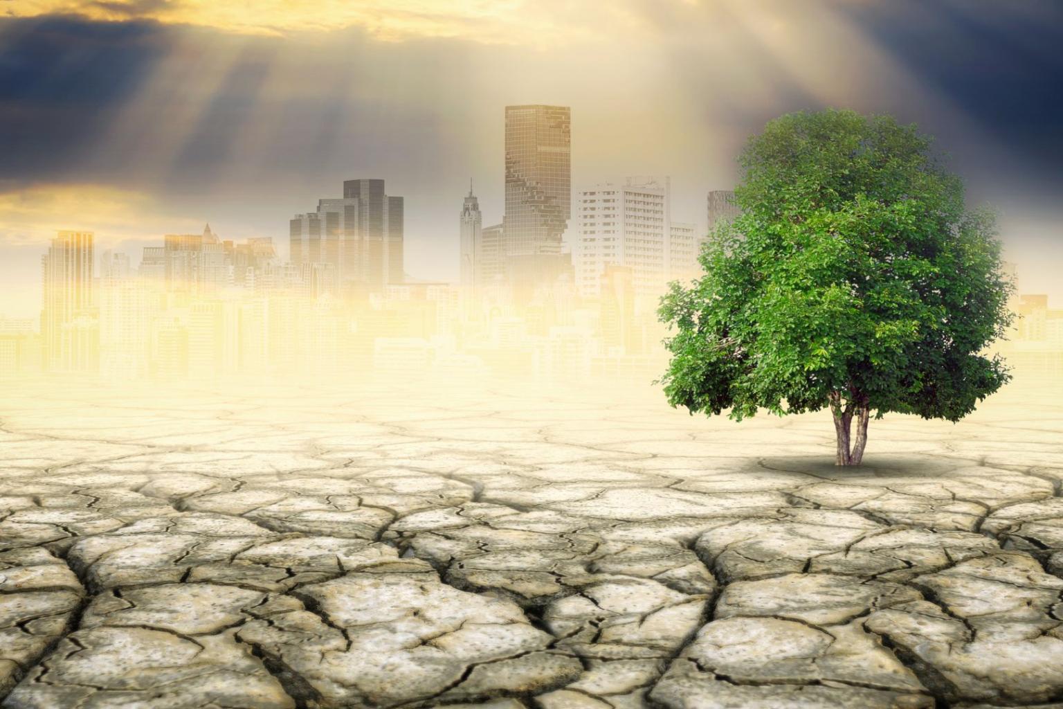 Canva Air Quality Climate Bulletin